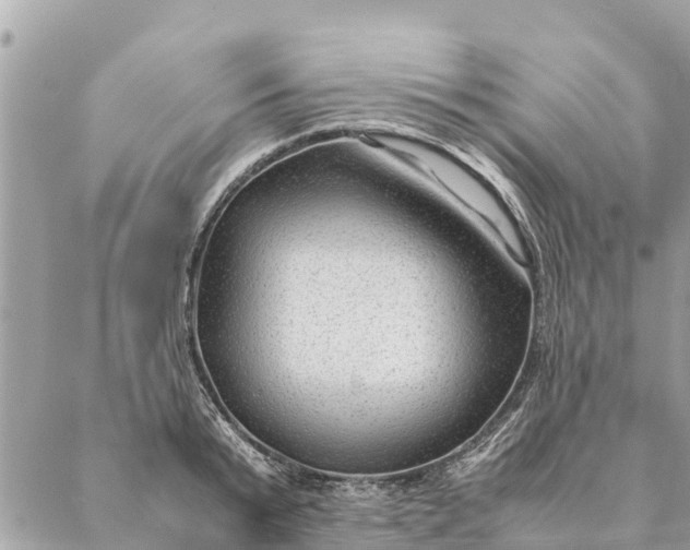 X0000087390799200705042009