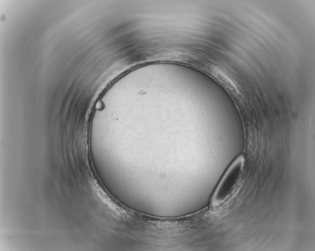 X0000087390800200705042009