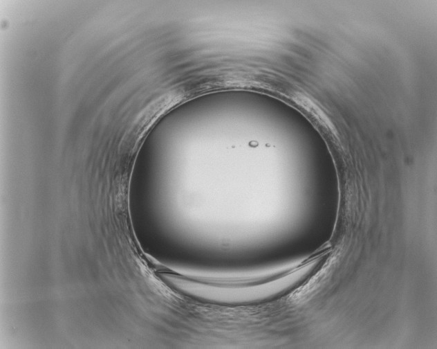 X0000087390801200705042009