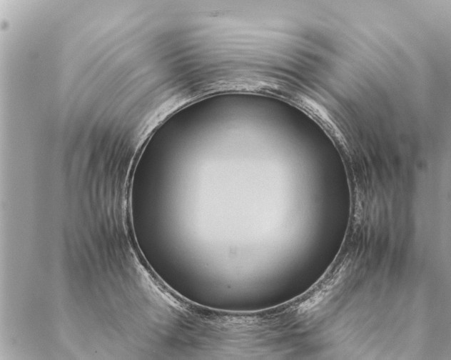 X0000087390802200705042009