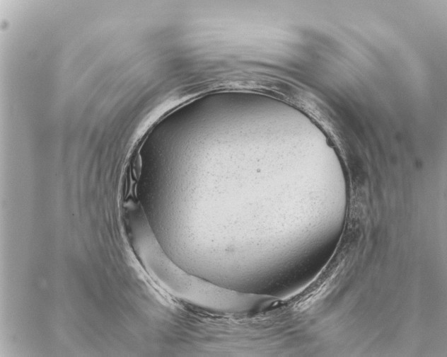 X0000087390803200705042009