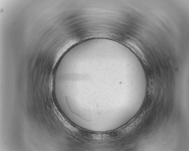 X0000087390804200705042009