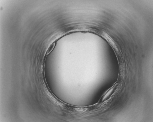 X0000087390805200705042009