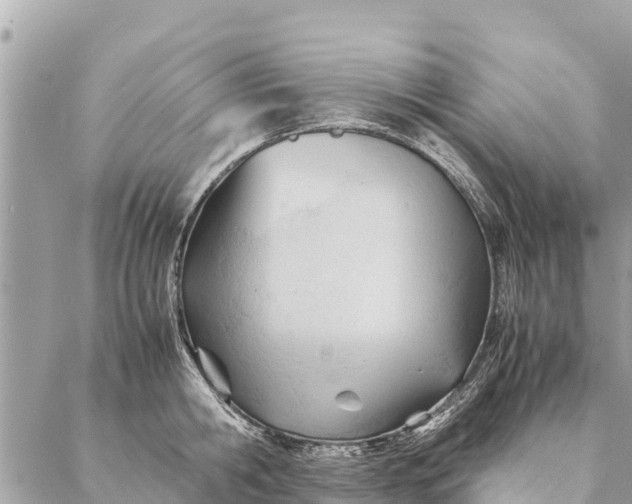 X0000087390806200705042009