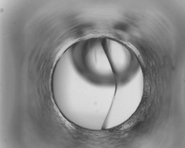 X0000087390807200705042009