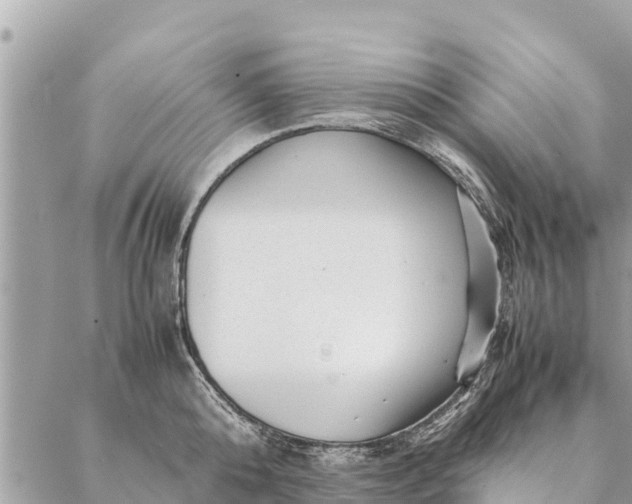 X0000087390808200705042009