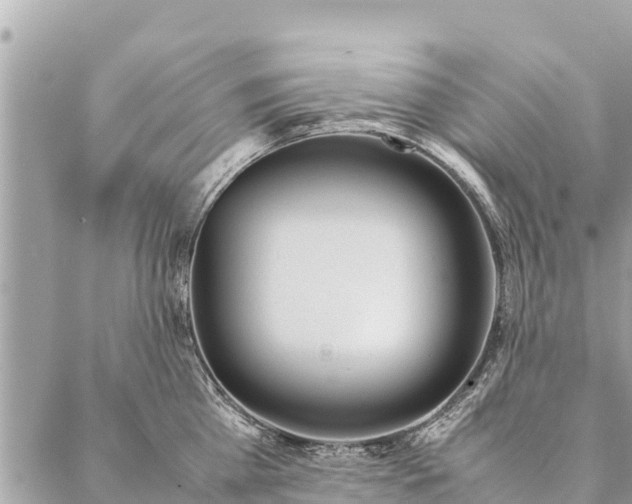 X0000087390809200705042009