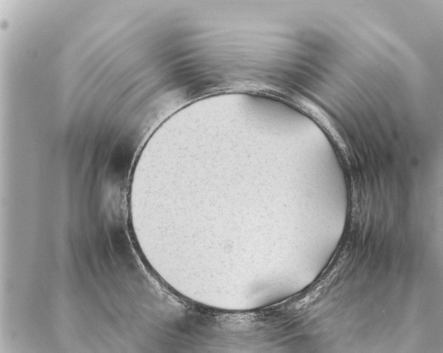 X0000087390810200705042009