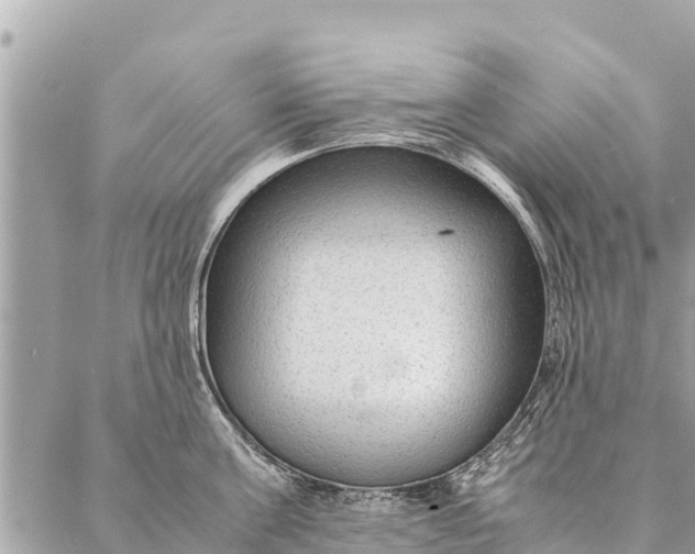 X0000087390811200705042009