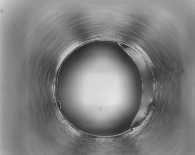 X0000087390812200705042009