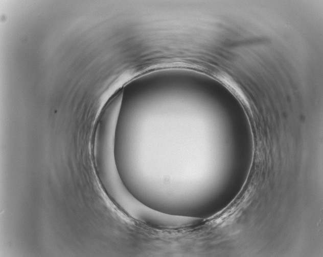 X0000087390813200705042009