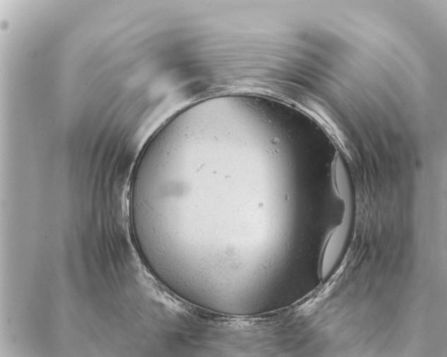 X0000087390814200705042009