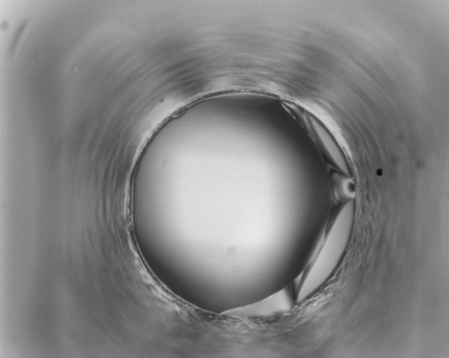 X0000087390815200705042009