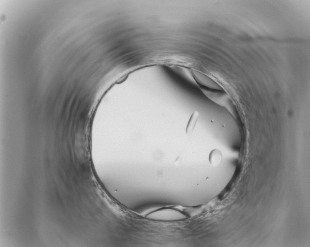 X0000087390816200705042009