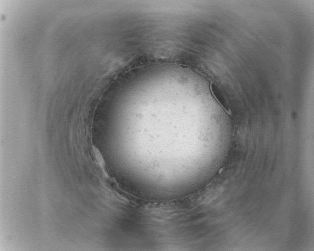 X0000087390817200705042008