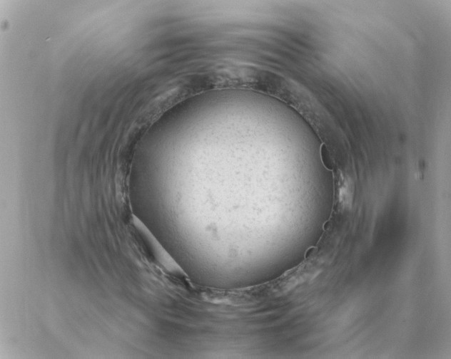 X0000087390819200705042008