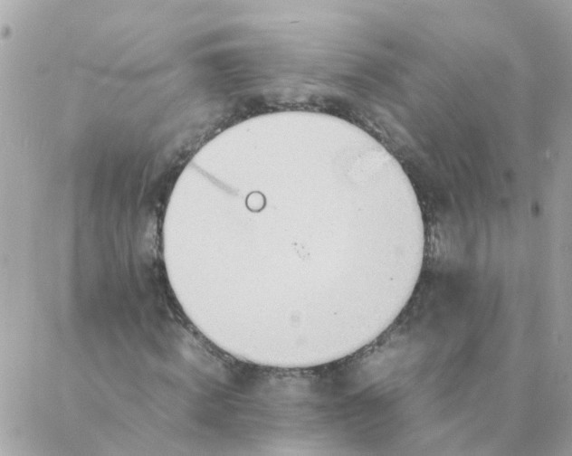 X0000087390820200705042008