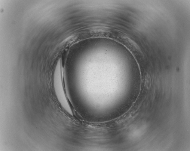 X0000087390821200705042008