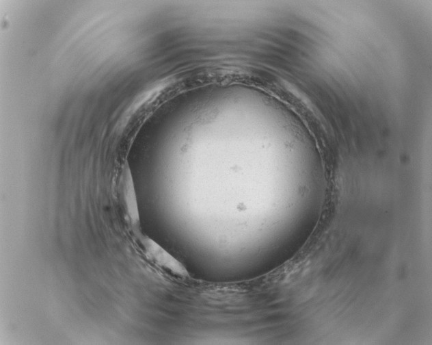 X0000087390823200705042008