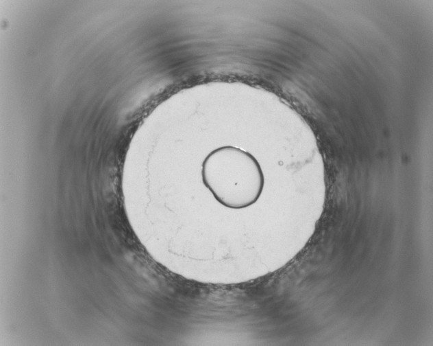 X0000087390824200705042008