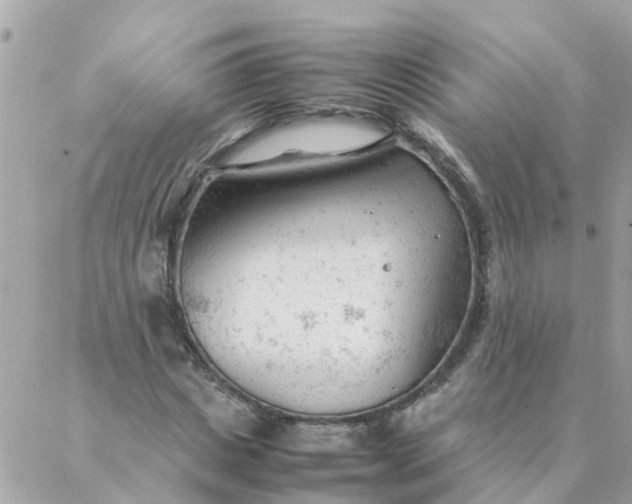 X0000087390825200705042008