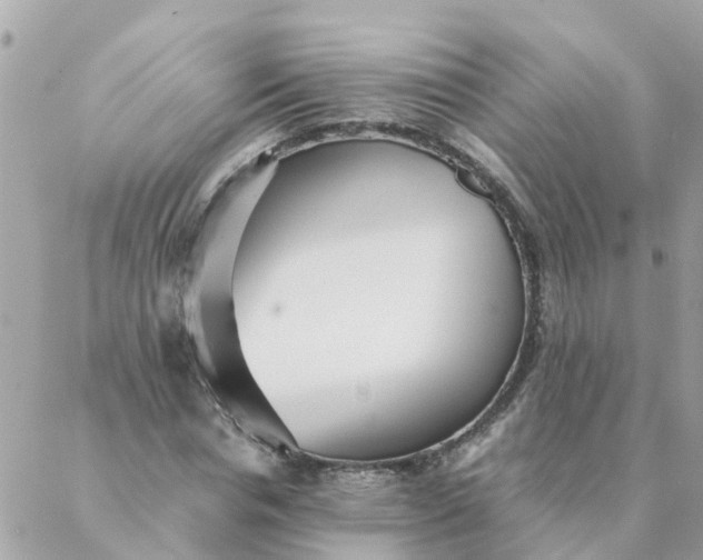 X0000087390826200705042008