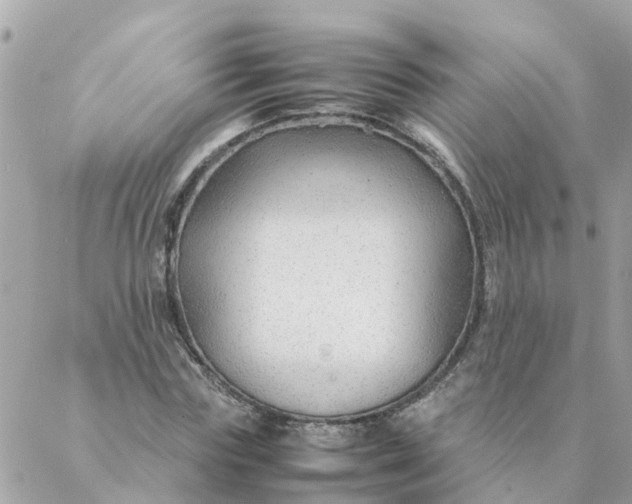 X0000087390827200705042008