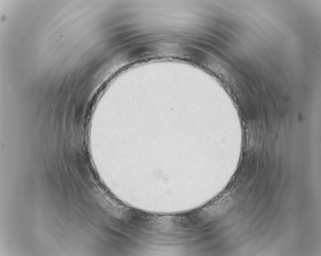 X0000087390828200705042008