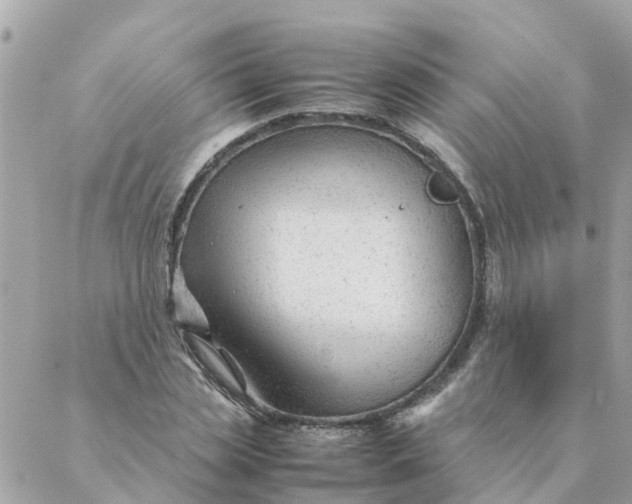 X0000087390829200705042008