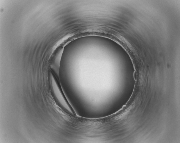 X0000087390830200705042008