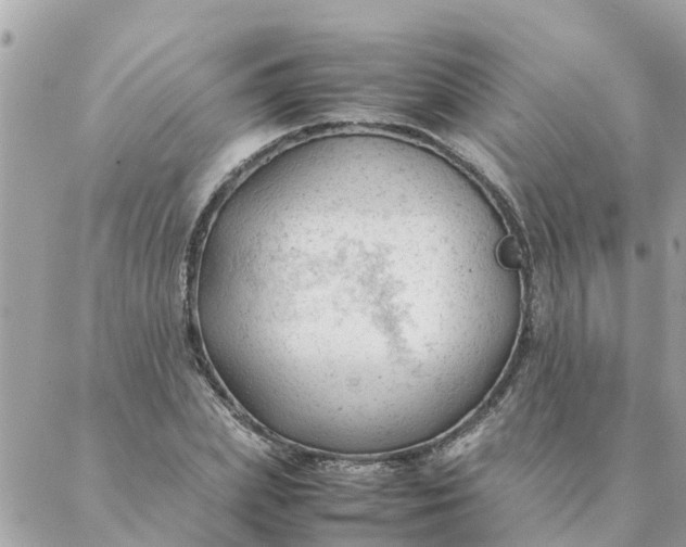 X0000087390831200705042008