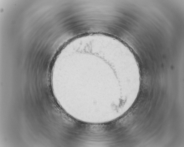 X0000087390832200705042008