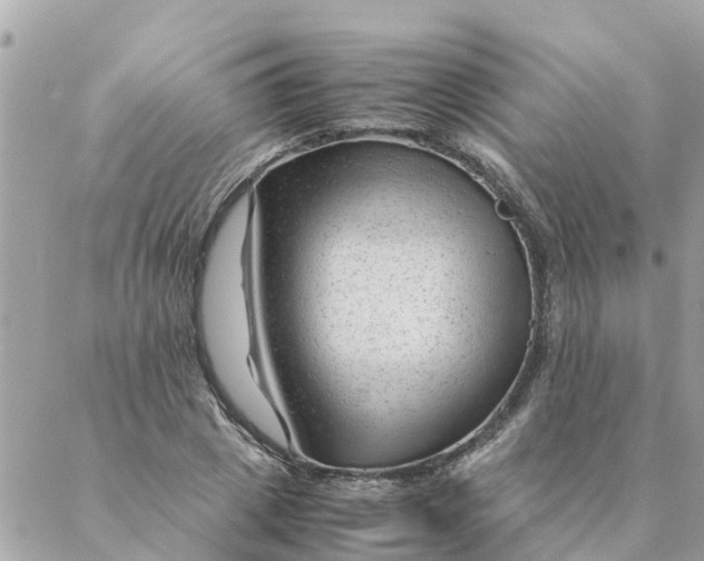 X0000087390833200705042008