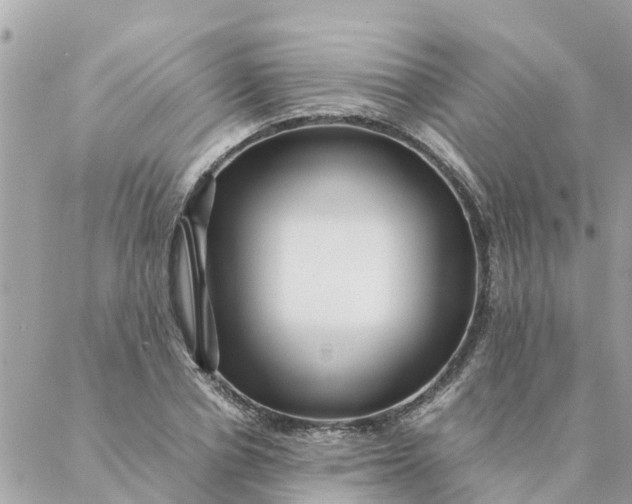 X0000087390834200705042008