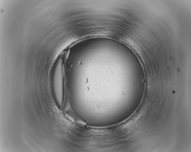 X0000087390835200705042008