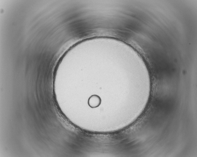 X0000087390836200705042008