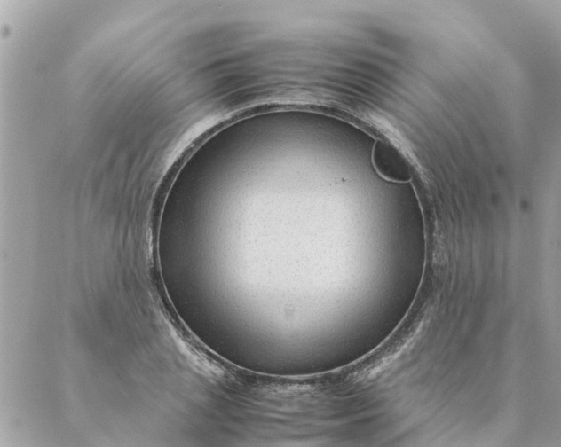 X0000087390837200705042008