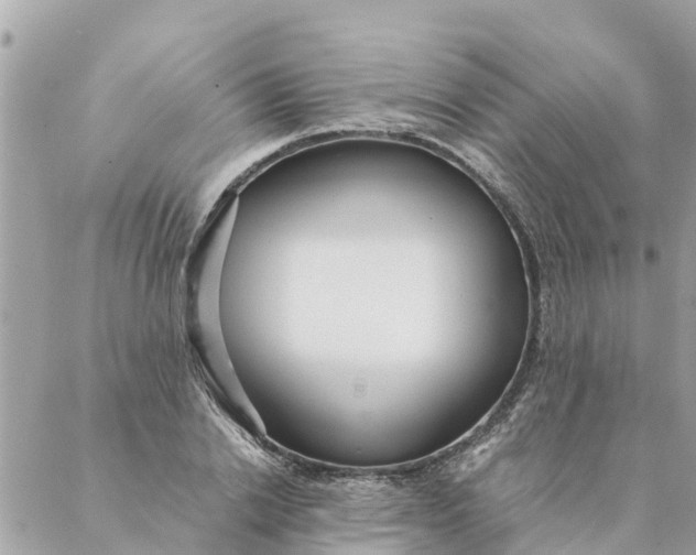 X0000087390838200705042008