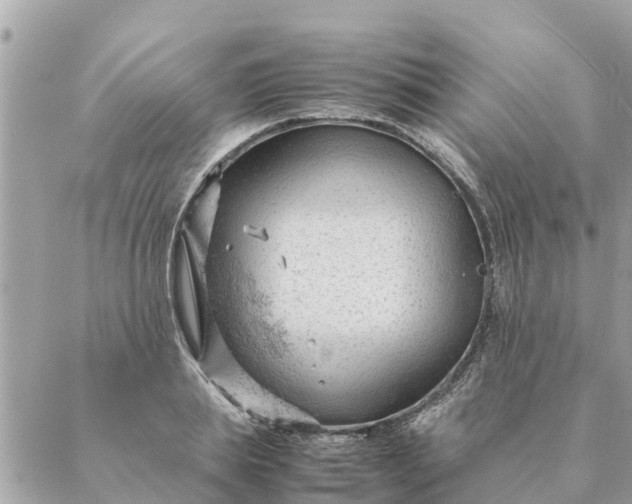 X0000087390839200705042008