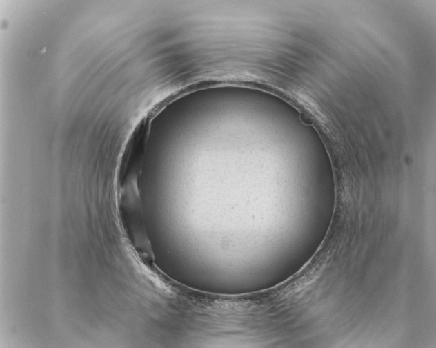 X0000087390840200705042008