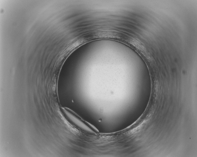 X0000087390841200705042008