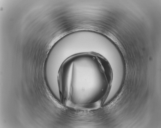 X0000087390842200705042008