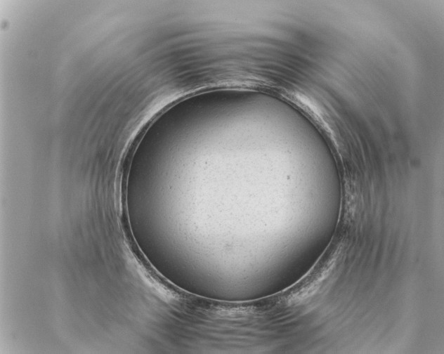 X0000087390843200705042008