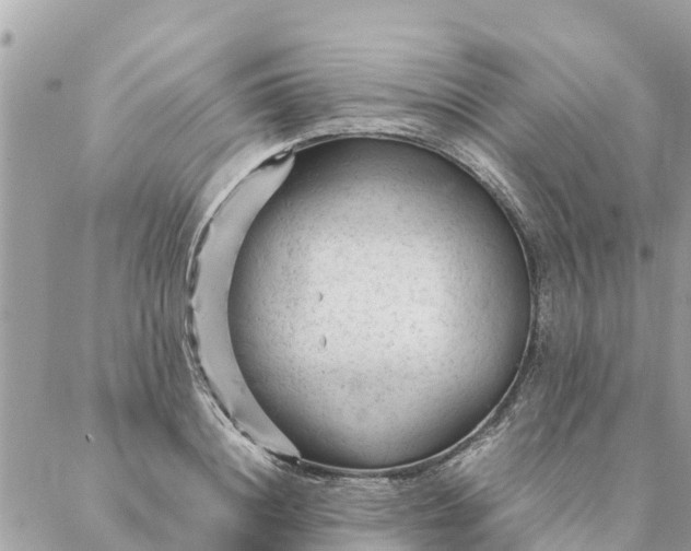 X0000087390844200705042008