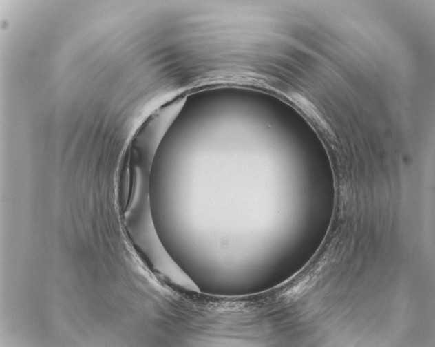 X0000087390846200705042008