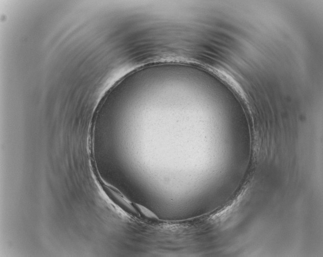 X0000087390847200705042008