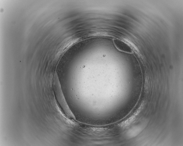 X0000087390849200705042008