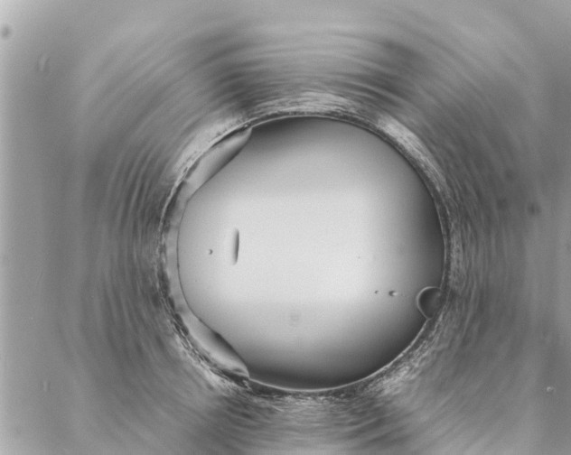 X0000087390850200705042008