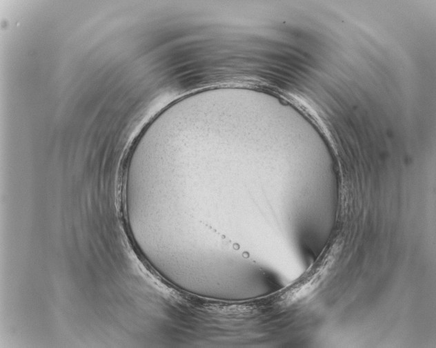 X0000087390851200705042008