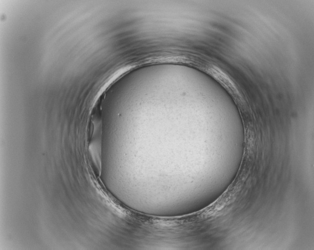 X0000087390852200705042008